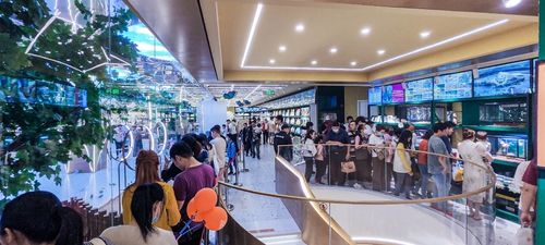 超级鸟局宠物露营店进驻上海百联西郊购物中心