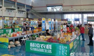 农民丰收购物节 特色农产品专题展销会今启动 图